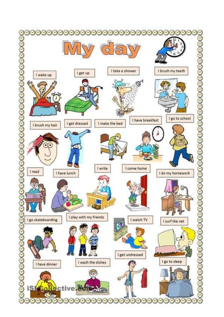 My day ( pictures)