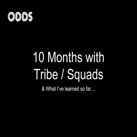 My Experience with Tribe-Squads