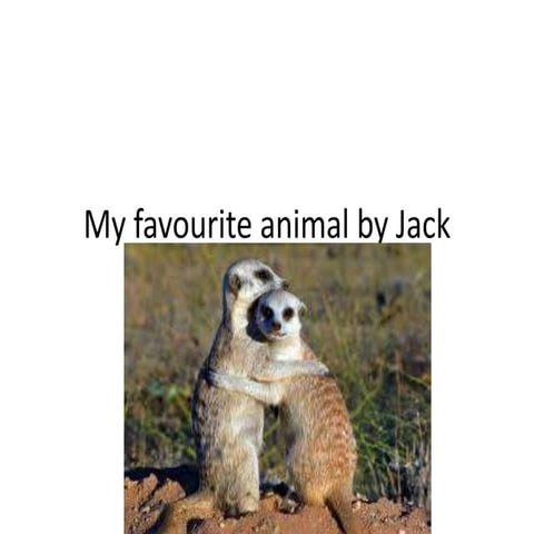 My favourite animal by Jack