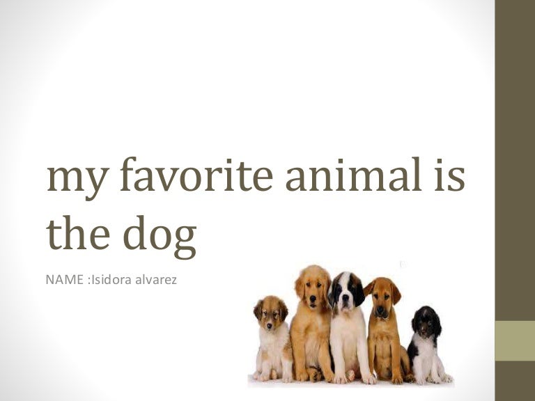 My favorite animal is the dog