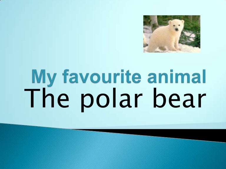 My favourite animal