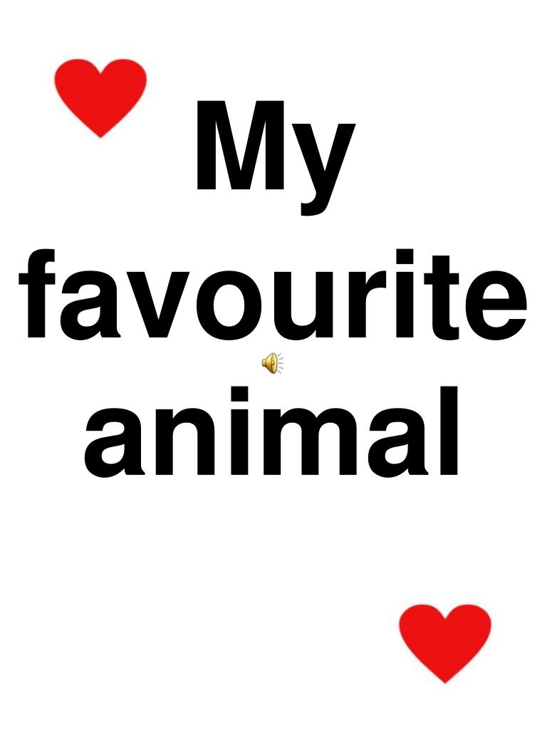 My favourite animal