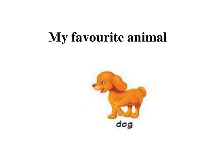 My favourite animal