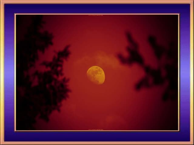 My First One In 2010 With 2010