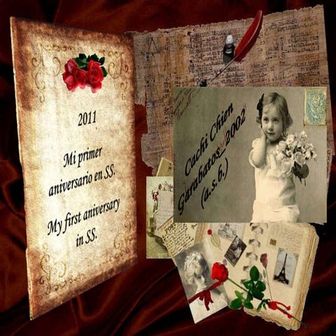 My First Year in S.S.