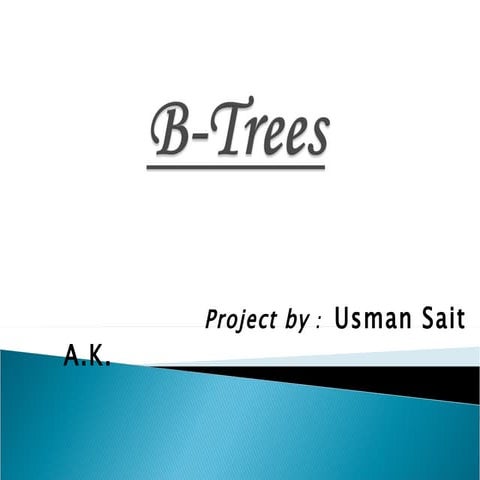 My File Structure Btrees Project Report