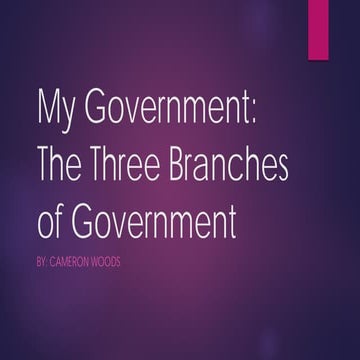 The Three Branches of Government | PPTX