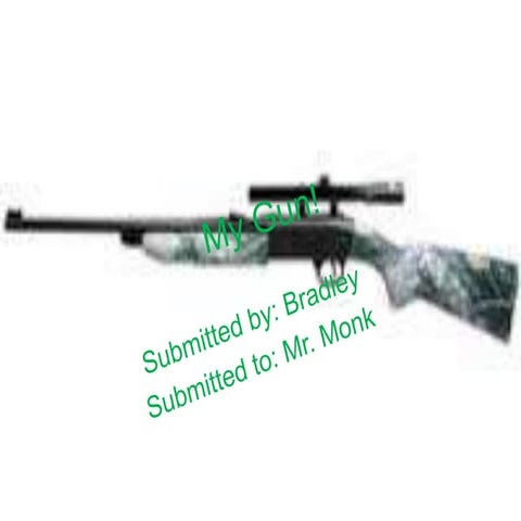 My gun!