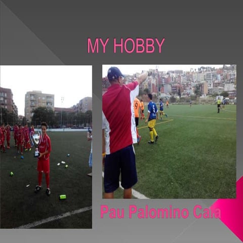 My hobby