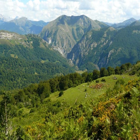 My job my high school 2017