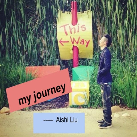 My journey | PDF