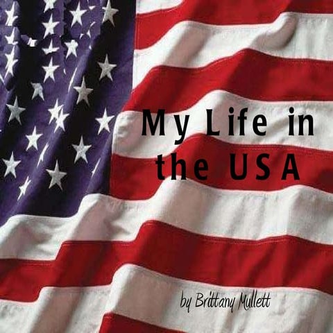My life in the usa