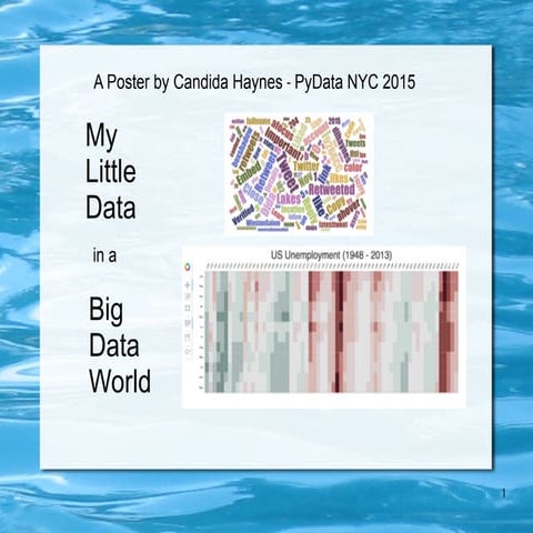 My Little Data in a Big Data World