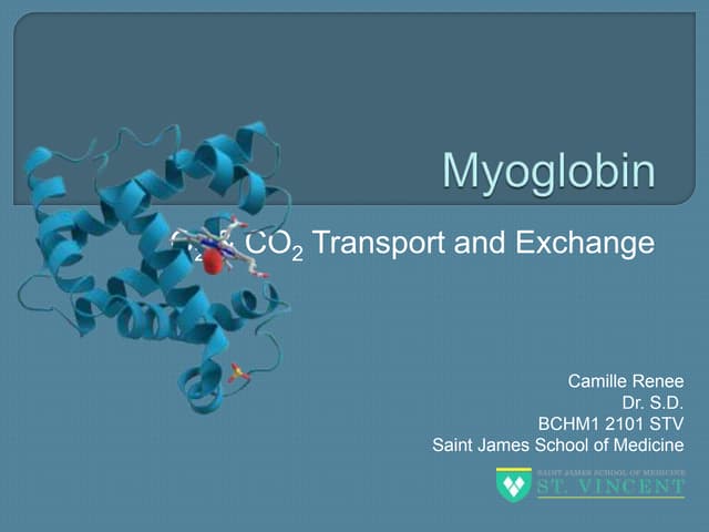 Myoglobin | PPTX