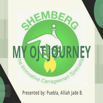 my ojt journey_20250827_171945_0000.pptx