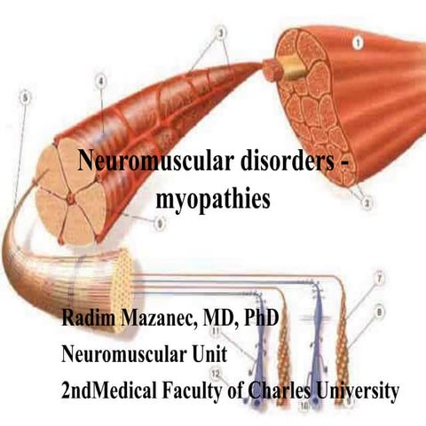 myopathies...........................ppt