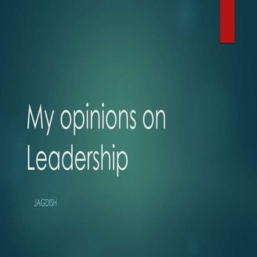 My opinion on leadership