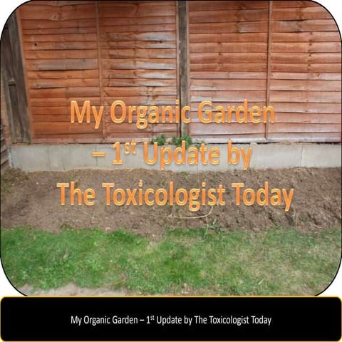 My Organic Garden 1st update