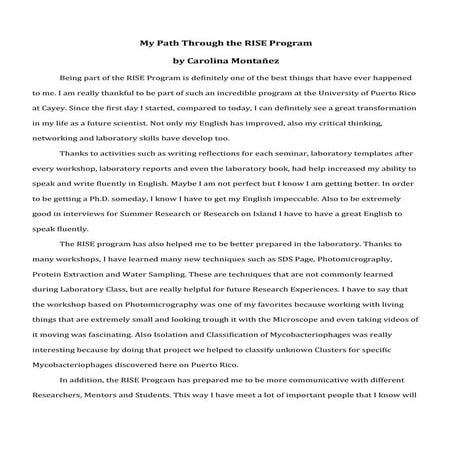 My path through the rise program