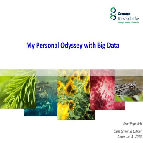 My Personal Odyssey with Big Data - Brad Popovich