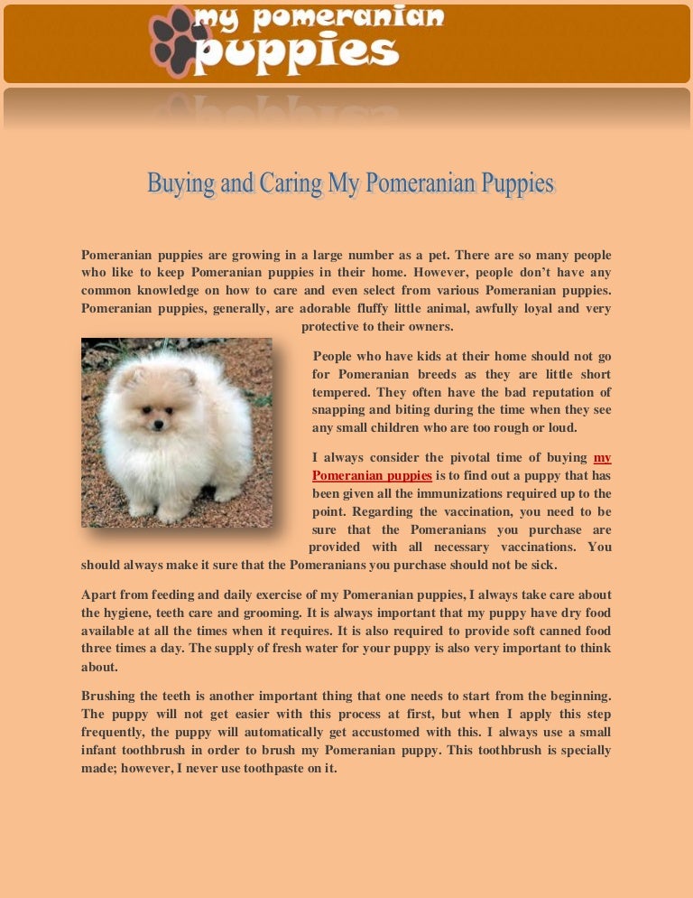 Buying And Caring My Pomeranian Puppies