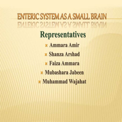 Enteric system as a small brain