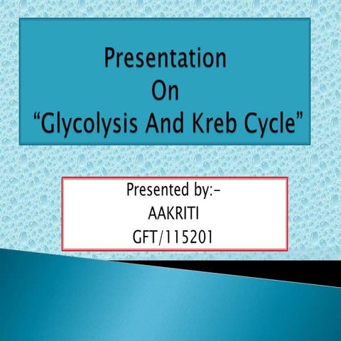 glycolysis and kreb cycle