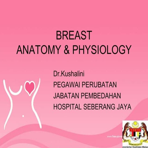 anatomy of breast 