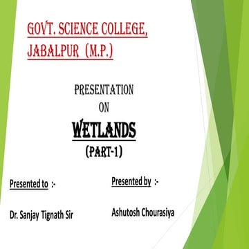 My Presentation(Ashutosh. ).pdf