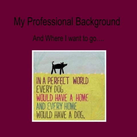 My professional background jmaxwell