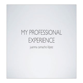 My professional experience