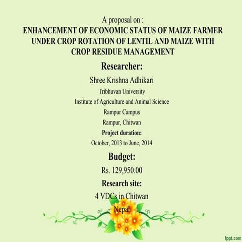 ENHANCEMENT OF ECONOMIC STATUS OF MAIZE FARMER UNDER CROP ROTATION OF LENTIL ...