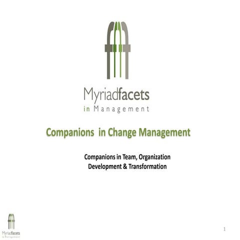 Myriadfacets In A Nutshell