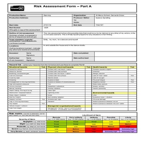 My risk assessement | DOCX