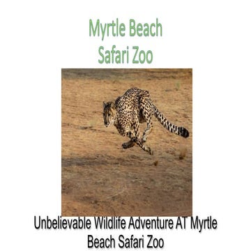 Myrtle beach safari zoo