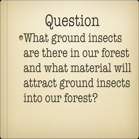 Insects | PPTX