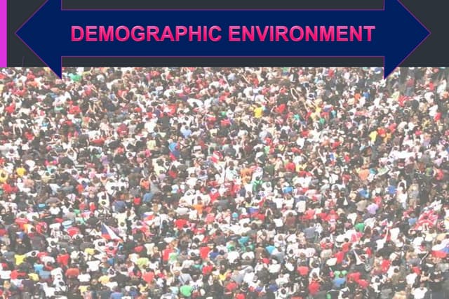 Demographic environment