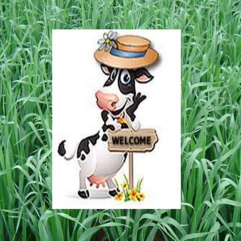 My seminar on oat 2015