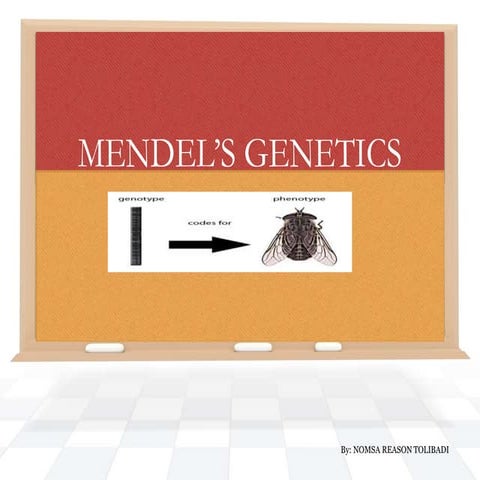 Mendel's genetics  