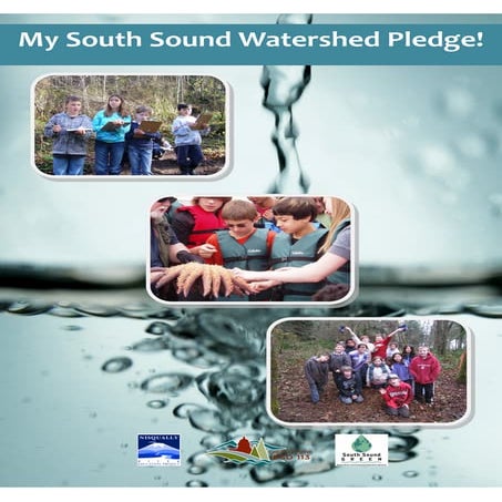 My south sound watershed promise sb