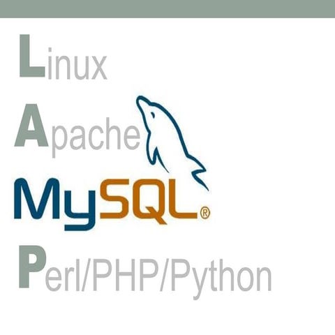 MySQL
