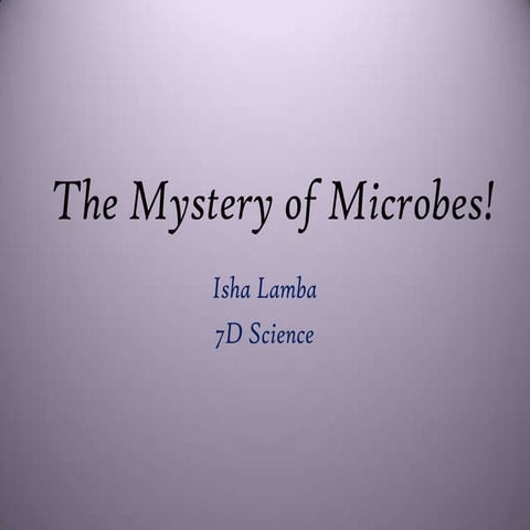 Mystery Of Microbes