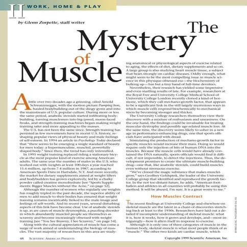 Unlocking The Mystery When Muscles Refuse To Respond - zkkh7jz