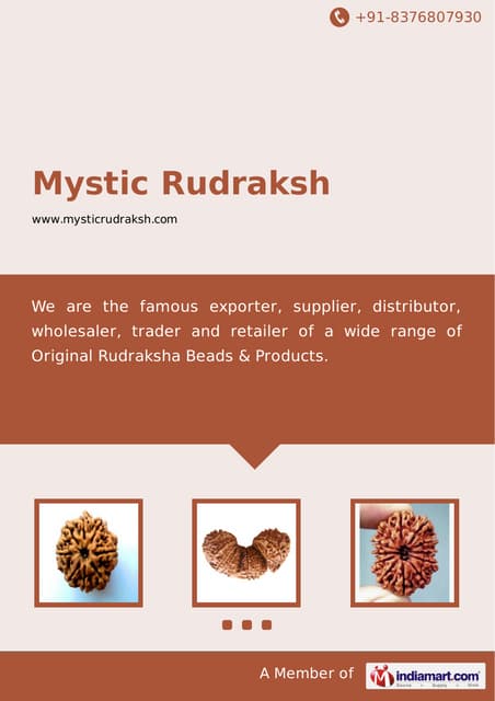 Mystic rudraksh