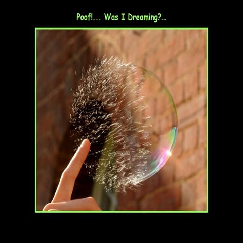 My Story From Within A Bubble   2009