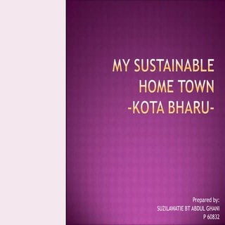My Sustainable Hometown