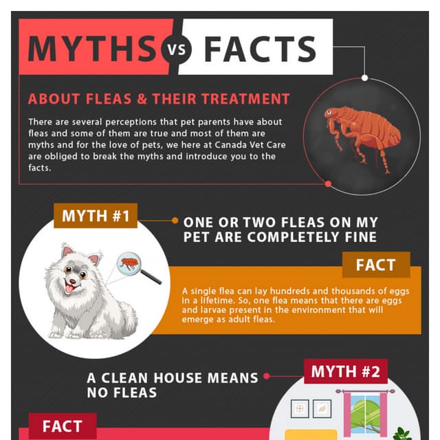 Myths and facts about fleas and their treatment converted | PDF