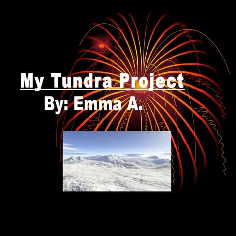 My Tundra Project Acomb
