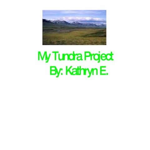My Tundra Project Eary