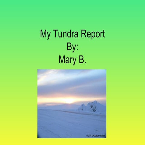 My Tundra Report Berding